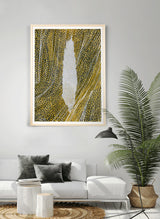 ברוש 3 לבן שביל שחור אוקר