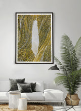 ברוש 3 לבן שביל שחור אוקר