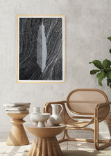 ברוש 3 לבן שביל שחור אפור