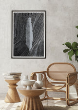 ברוש 3 לבן שביל שחור אפור