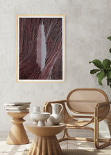 ברוש 3 לבן שביל שחור בורדו