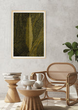 ברוש 3 אוקר שביל שחור אוקר