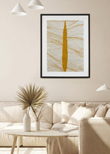 ברוש 1 אוקר רשת כסף