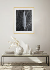 ברוש 3 לבן שביל שחור אפור