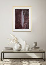 ברוש 3 לבן שביל שחור בורדו