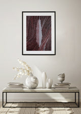 ברוש 3 לבן שביל שחור בורדו