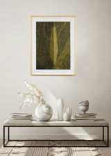 ברוש 3 אוקר שביל שחור אוקר