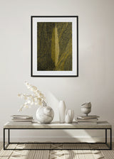 ברוש 3 אוקר שביל שחור אוקר