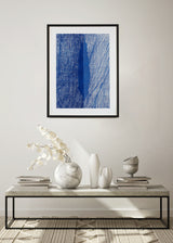 ברוש 1 כחול רוזטה כחול