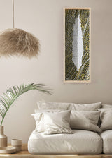 ברוש 3 מאורך לבן-שביל שחור אוקר