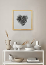 לב סירה שחור - בנוני