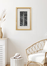 ברוש 1 לבן שביל שחור אפור