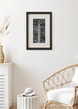 ברוש 1 לבן שביל שחור אפור