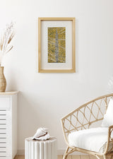 ברוש 1 לבן רשת שחור אוקר