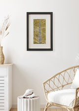 ברוש 1 לבן רשת שחור אוקר