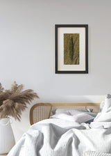 ברוש 3 שחור רשת שחור אוקר