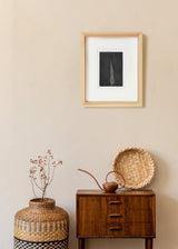 ברוש מסולסל 1 שחור לבן