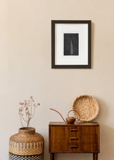 ברוש מסולסל 1 שחור לבן