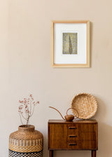 ברוש מסולסל 3 אימפרסיוניטי