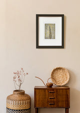 ברוש מסולסל 3 אימפרסיוניטי