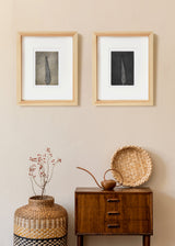 ברוש מסולסל 2 נקודות זהב