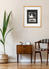 דיוקאן נועה 1