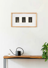 טריפטיכון 3 ברושים כהה שחור לבן