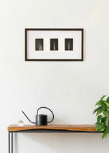 טריפטיכון 3 ברושים כהה שחור לבן