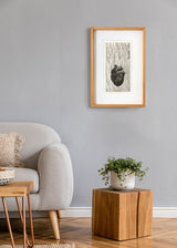 לב גזע שחור לבן