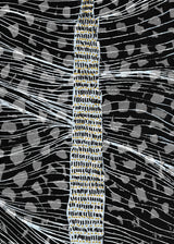 ברוש 1 לבן שביל שחור אפור