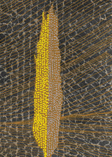 ברוש 2 אוקר רשת כסף חום