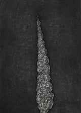 ברוש מסולסל 1 שחור לבן