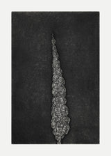 ברוש מסולסל 1 שחור לבן