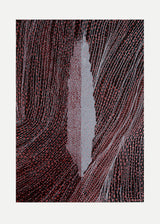 ברוש 3 לבן שביל שחור בורדו