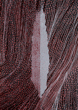 ברוש 3 לבן שביל שחור בורדו