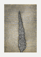 ברוש מסולסל 2 נקודות זהב