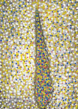 ברוש מסולסל 3 אימפרסיוניטי