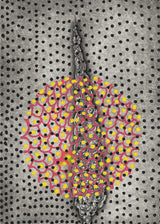 ברוש מסולסל 5 נקודות כסף