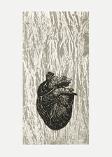 לב גזע שחור לבן