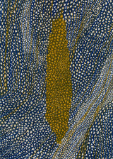 ברוש 3 אוקר שביל כחול