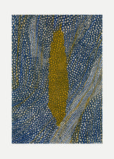 ברוש 3 אוקר שביל כחול