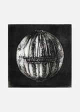 חרוז דרמטי שחור לבן