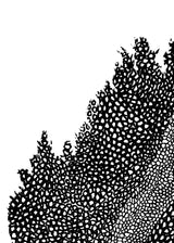 וולקנו שמאל שחור לבן