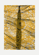 ברוש 1 שחור רוזטה אוקר