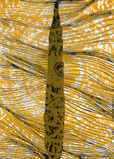 ברוש 1 שחור רוזטה אוקר