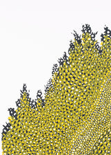 וולקנו שמאל שחור אוקר לבן