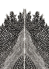 וולקנו כפול שחור לבן