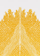 וולקנו כפול אוקר