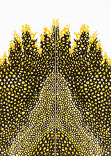 וולקנו כפול אוקר שחור