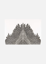 וולקנו כפול שחור כסף